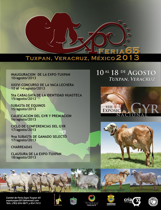 poster-tuxpan2013-gde