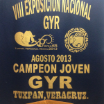 Campeon Nacional Joven Gyr 2013