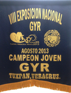 Banderín del Campeón Nacional Joven Gyr 2013