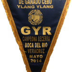 Campeona Nacional Becerra Gyr 2014