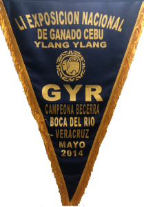 Banderin de Campeona Becerra Gyr 2014