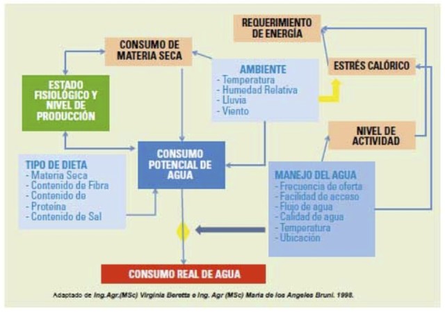 diagrama factores consumo agua