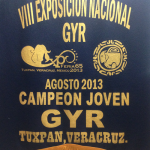 Campeón Nacional Joven Gyr 2013